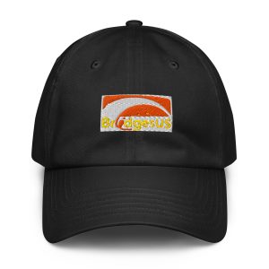 Under Armour® dad hat